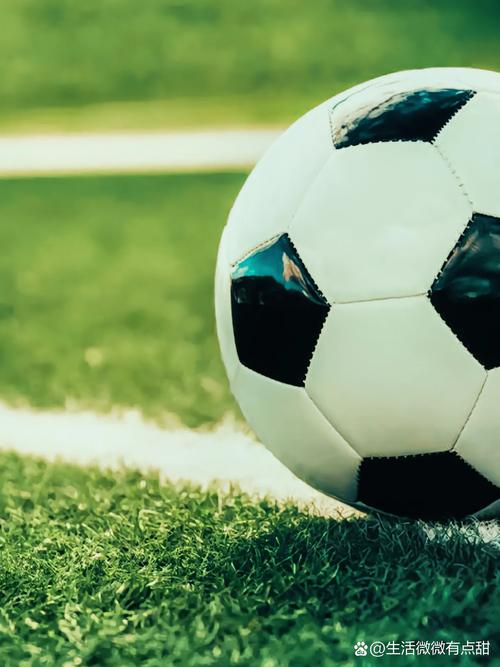 球探网即时比分社区互动功能