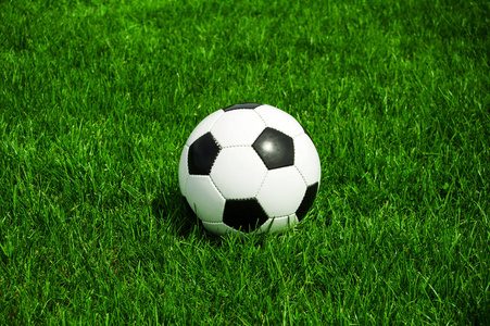 球探网即时比分手机即时版应用界面展示